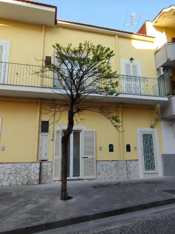 Botteghelle Home Casalnuovo Di Napoli Dış mekan fotoğraf